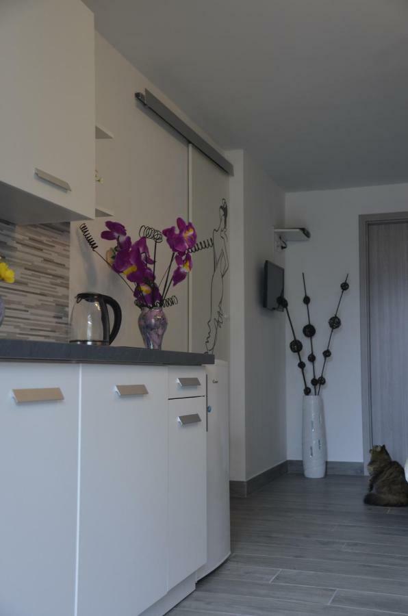 Apartments Lilly - Studio Rijeka Exterior foto